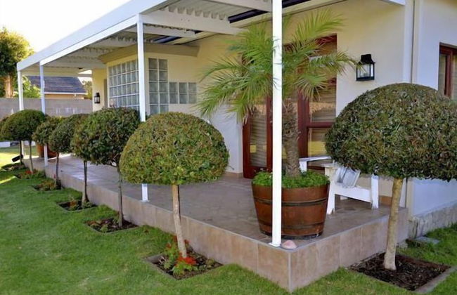 Beautiful Abalone - Photo 7