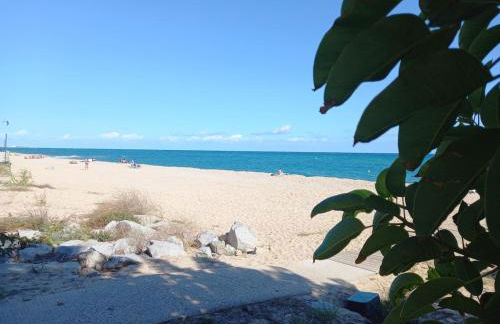 Oasis cerca de Barcelona - Photo 16