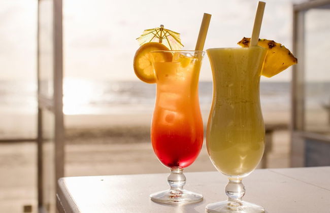 Beach House in Wijk aan Zee With Sea View - Foto 16