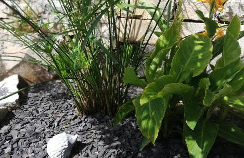 Apartman NONO - Foto 33