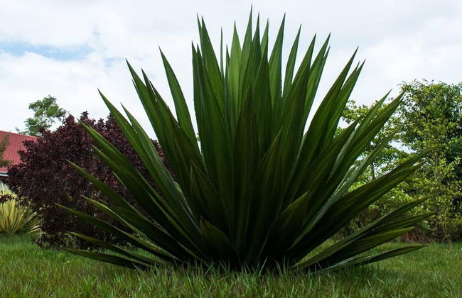 Remarkable 2-bed Cottage Along Gayaza Road - Foto 15