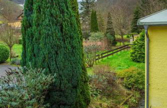 Weingut Muehlenschenke - Game-Room, Vineyard, Sauna and more - Foto 20