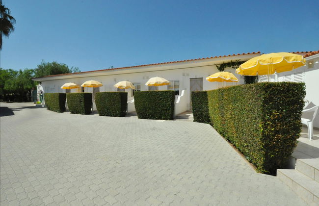 Flor da Laranja - Foto 17