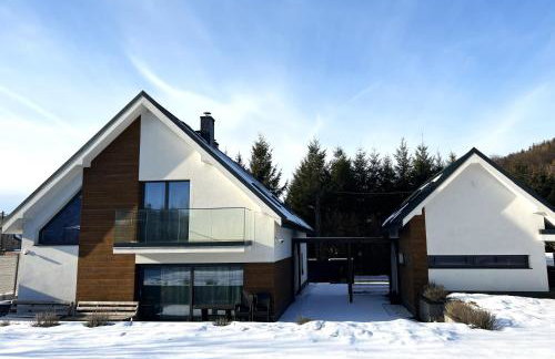 Willa Źródlana - Foto 22