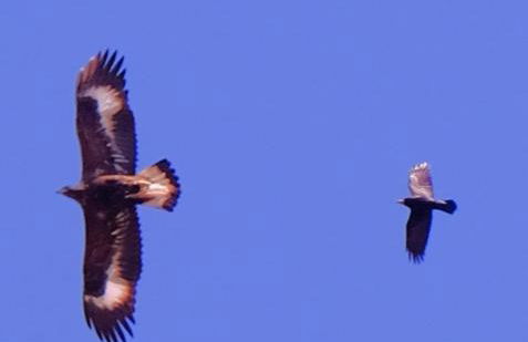 Rest At Last - Highland Apartment with Private hot tub - Photo 38