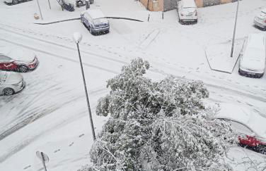 Estudio sofia - Foto 2