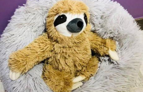 Détente Piscine au Bassin d'Arcachon - Foto 11