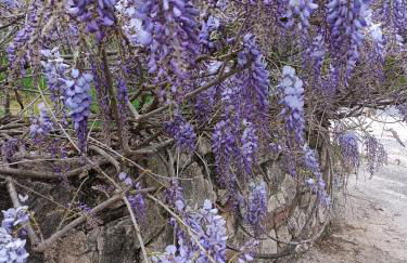 Colle Perazzoni - Foto 32