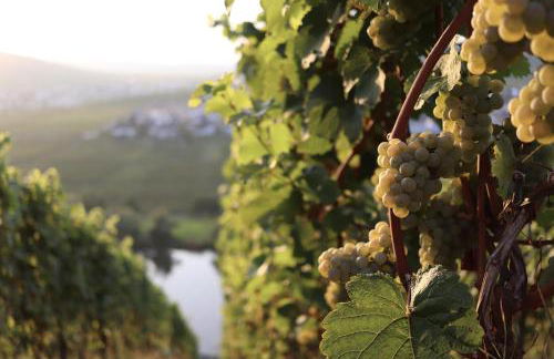 Klara Rooms - Foto 32