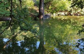 Ferienwohnung "Mosel" - Foto 63