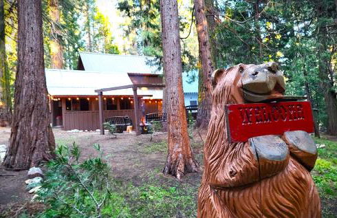 Sequoia Splendor, inside Kings Canyon NP by Visitors Center - Foto 60