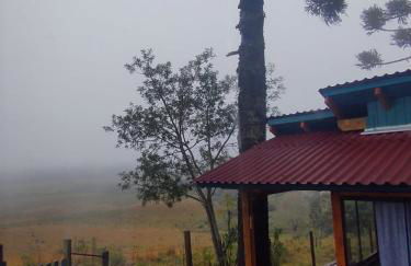 Na'raucária - Foto 12