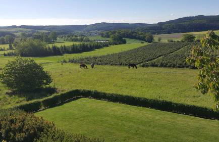 Ferienwohnung Haus Weitblick - Foto 27