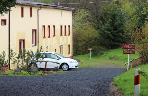 Hlebówka siedlisko w Sudetach - Foto 47