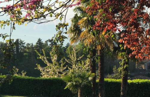 Residenza Ambrogi - Foto 17