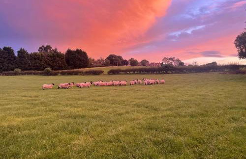 Roseberry View Barn, Northallerton - Foto 10