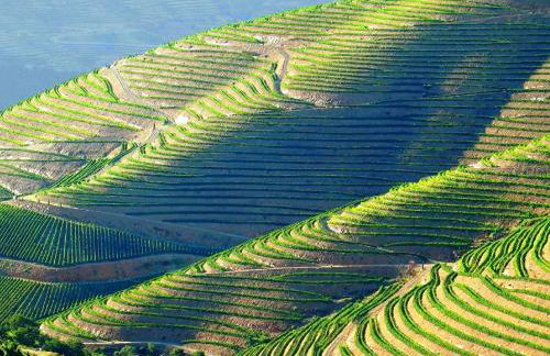 Casa do Beco B&B Douro - Guest House - Foto 65