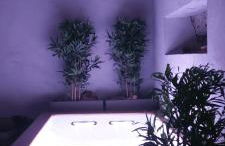 Le Allegre Comari di Ossuccio - Foto 45