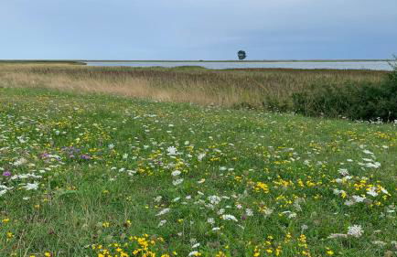 Noorhus - Kurzurlaub an der Ostsee - Foto 22