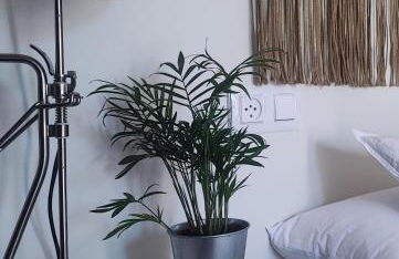 Casa Baixo O Castelo - Foto 22