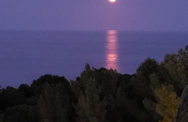 Apartment with garden and sea view Santa Cristina Blanes - Foto 43