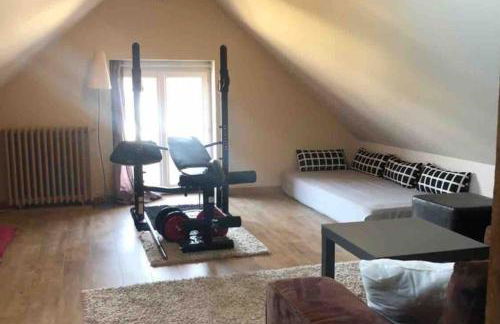 Belle demeure de 1820, classée, à 5 mn de Blois, 10 mn de Chambord - Foto 15