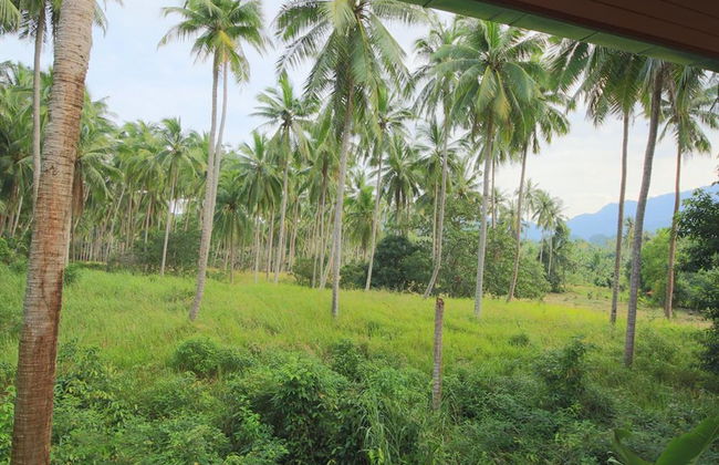 Tropical Season Villa Resort - Photo 16