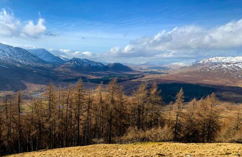 Squirrel View - Foto 12