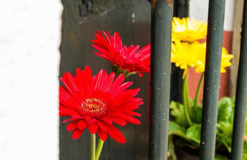 El Bachiller JABUGO Alojamiento Rural - Foto 4