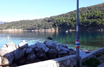 Valun Seaside Apartments - Foto 50