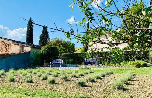 Casa Vacanze Podere San Giusto Volterra - Foto 35