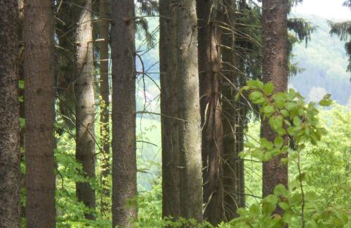 Halinówka - Twoje Miejsce w Górach Sowich - Foto 25