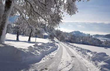 Ferienhaus Rasch - Foto 38