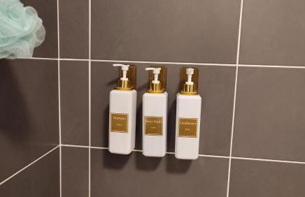 ESCAL'HOME appart design au pied de l'aéroport, parkings - Foto 25