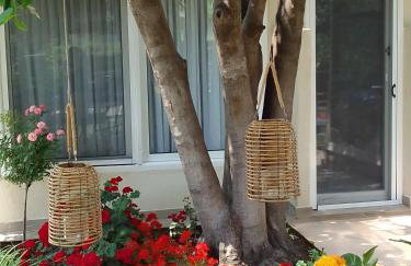 Nikolas House - Foto 22