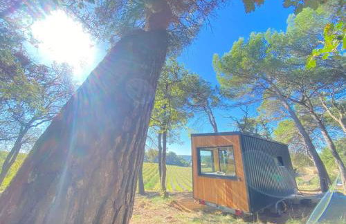 Tiny-House Grand Confort - Salle de bain italienne - Lit King - 10 min A7 - Foto 8