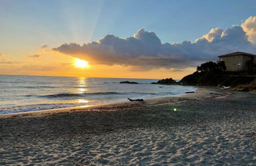 App. 2 p design zen vue mer N182 - Foto 39