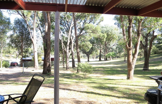 The Black Sparrow - Photo 72