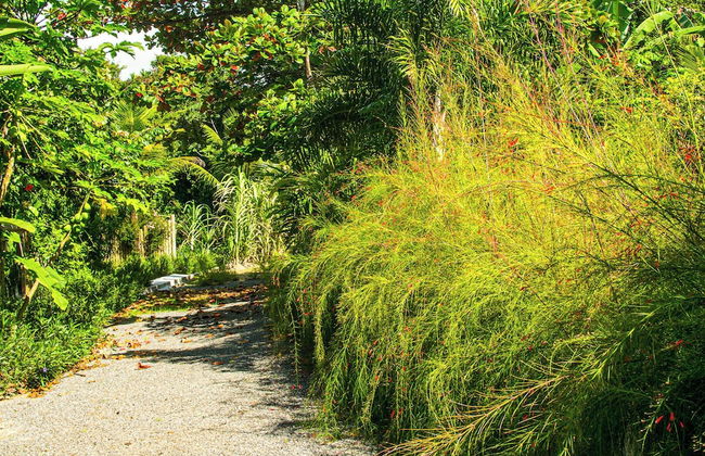 Quinta do Brasil Trancoso - Foto 72