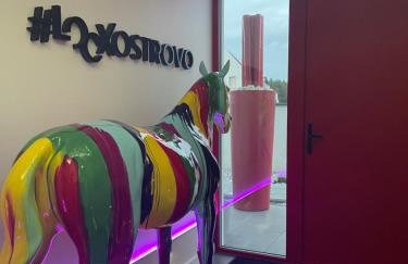 Loox Ostrovo- Boutique House-noclegi nad morzem - Foto 28