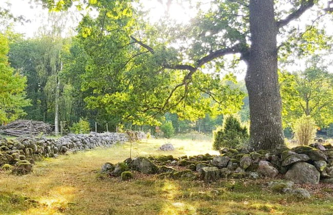 4 Person Holiday Home in Anneby - Foto 2