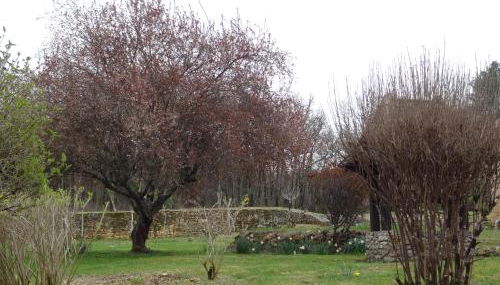 Gîte pour 4 personnes - Dordogne - Foto 5