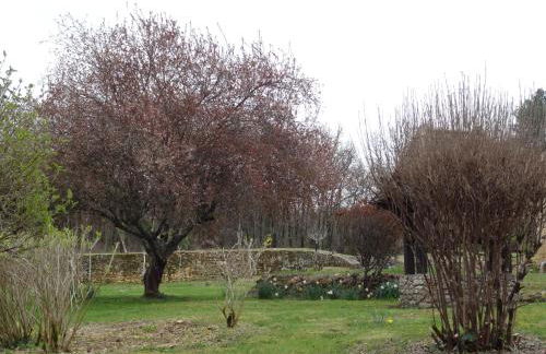 Gîte pour 4 personnes - Dordogne - Foto 5