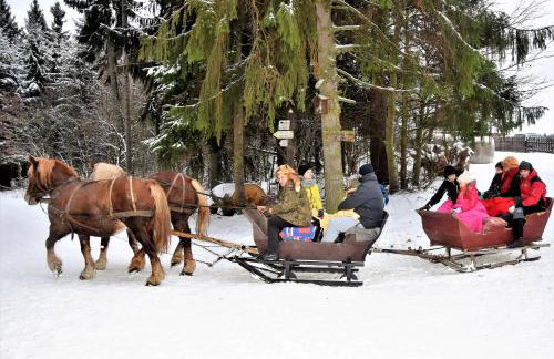 Wigierski Park Narodowy - Foto 45