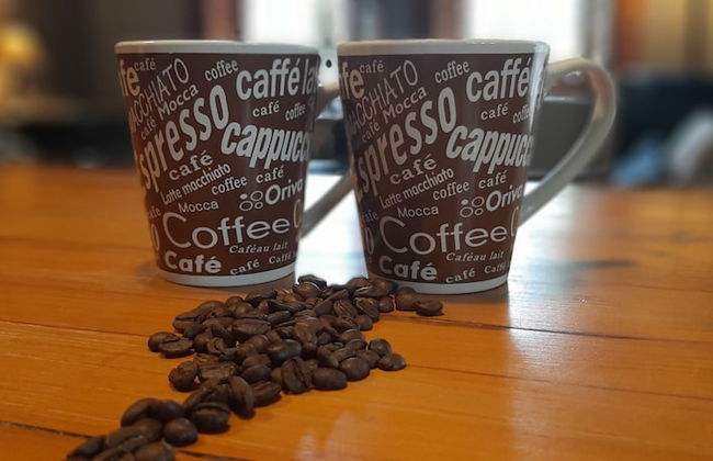 Abigails Garden Cottage - Foto 20