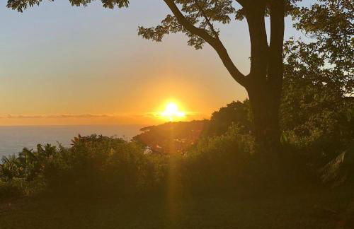 Hamakua Pukana La Hale 3 Bedroom Home by RedAwning - Foto 59