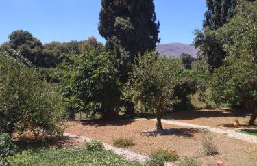 Diogenis Residence Euphoria - Foto 67