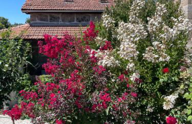 Quinta do Cobral - Foto 8