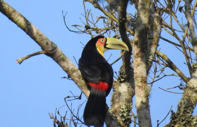 Family Camp - Photo 16