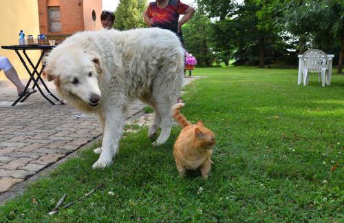 Agriturismo Flabeto - Foto 73